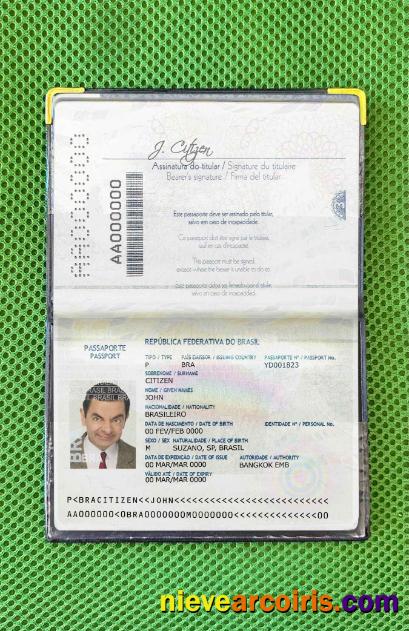Brazil passport (2016-2019) photolook